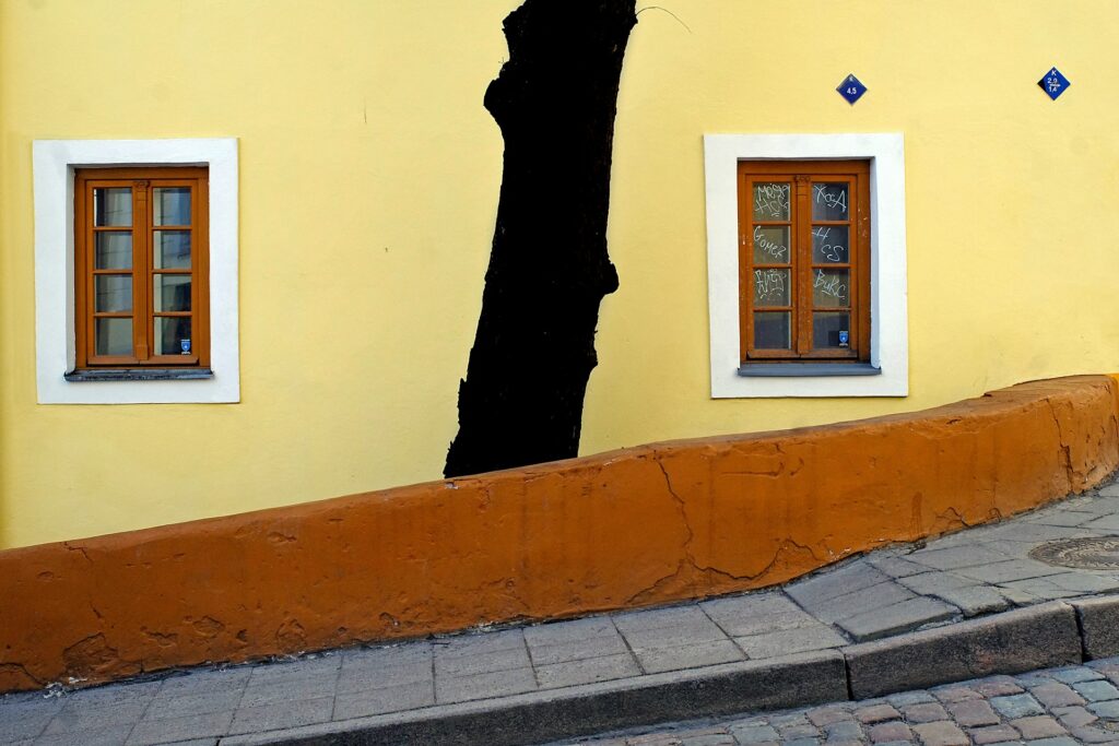Pintor em Braga